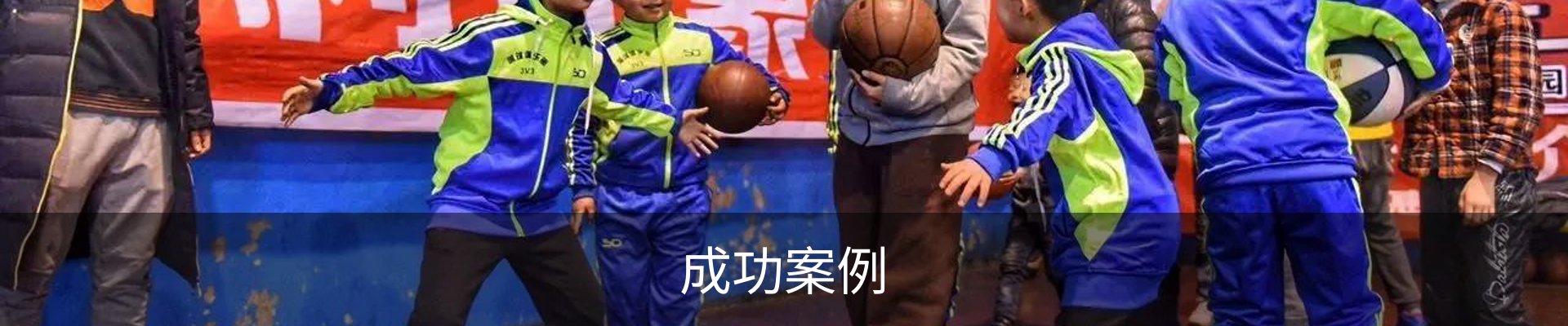 成功案例